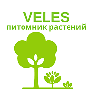 Питомник растений Чита Велес - саженцы, семена, озеленение, ландшафтный дизайн, удобрения, почвогрунт в Чите